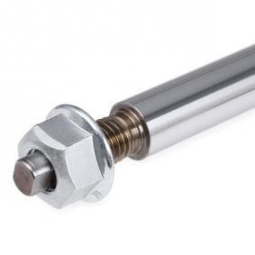 Imagine produs: Amortizor cu gaz punte spate SACHS (315 483)