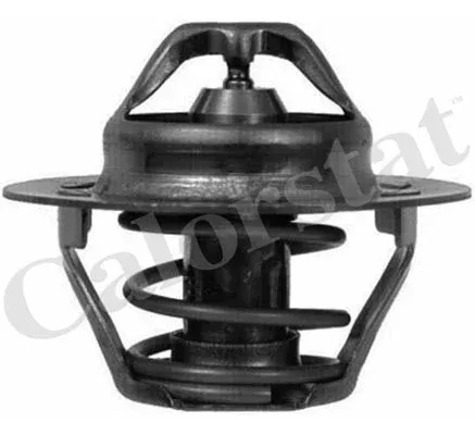 Imagine produs: Termostat si garnitura VERNET (TH6047.89J)