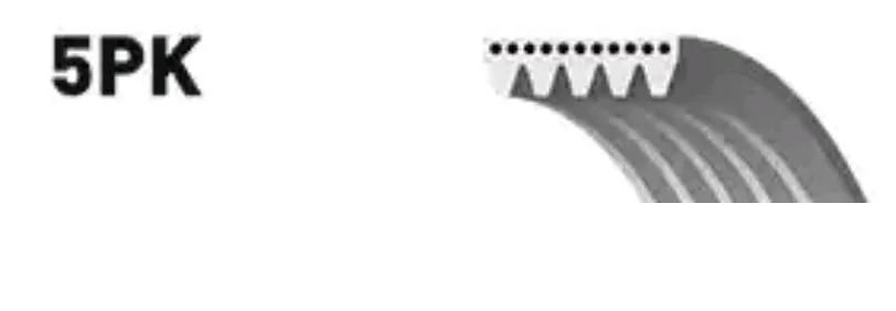 Imagine produs: Curea canelata GATES (5PK1113)