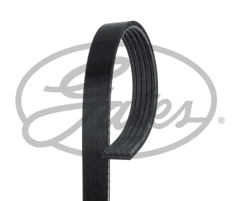 Imagine produs: Curea canelata GATES (5PK1113)