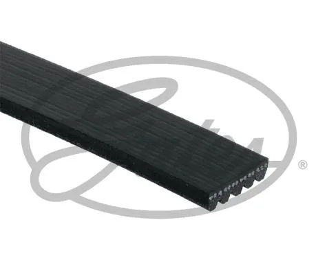 Imagine produs: Curea canelata GATES (5PK1750)
