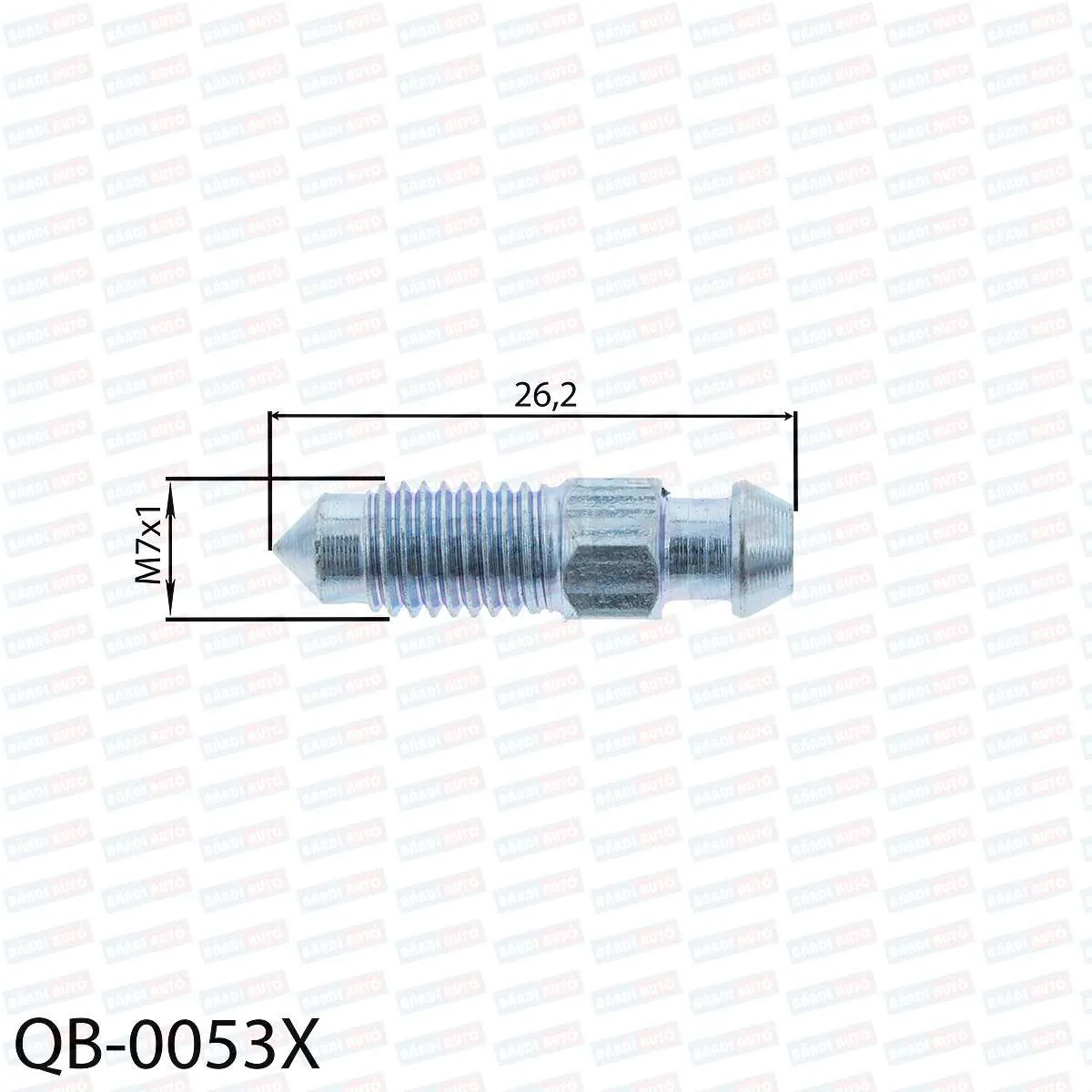 Imagine produs: Surub aerisire QUICK BRAKE (0053X)