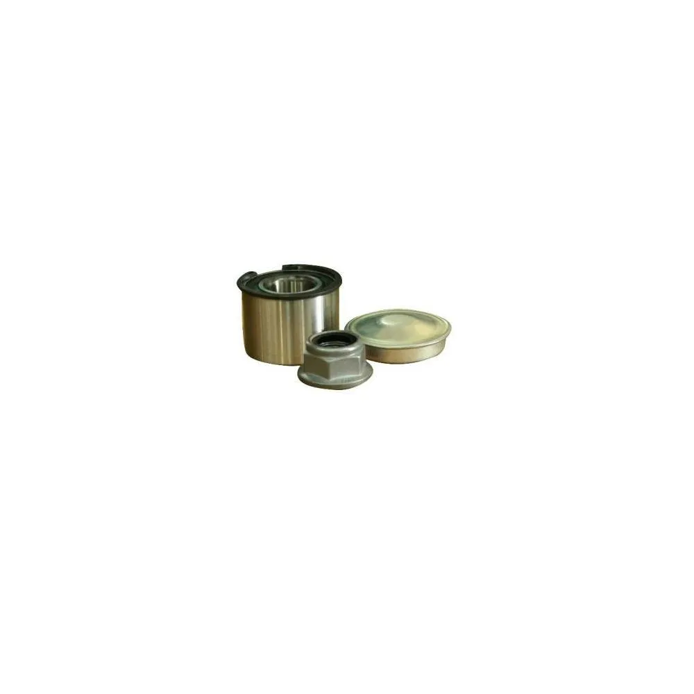 Imagine produs: Kit rulment roata spate RENAULT (OE12665914   77 01 205 812 )