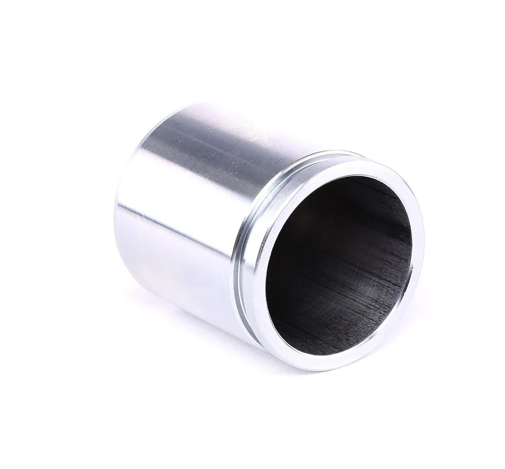 Imagine produs: Piston etrier SEINSA (D02535)