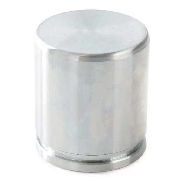 Imagine produs: Piston etrier SEINSA (D02535)