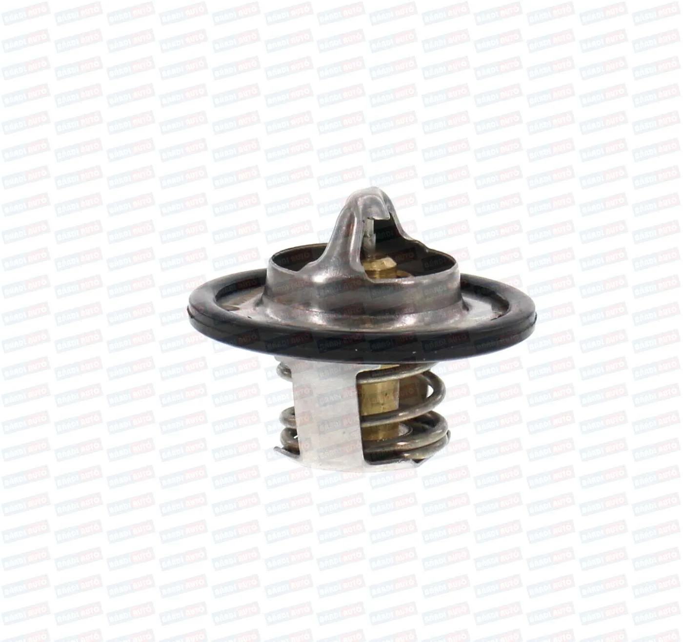 Imagine produs: Termostat si garnitura WÜRTEMBERG (WURT32F00222)